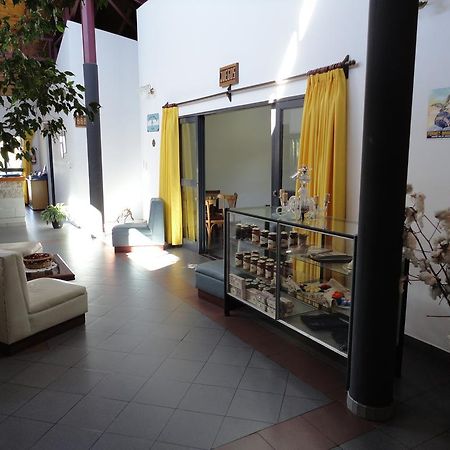 Hotel Lujan Lujan  Kültér fotó